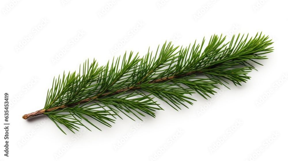 Poster pine branch isolated on white background. fir tree branch isolated on white created with generative 