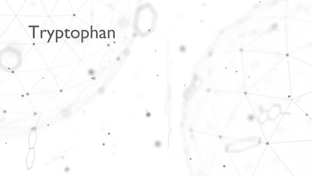 Tryptophan amino acid molecule. Skeletal formula.
