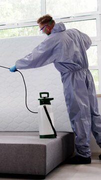 Pest Control Service. Bug Bed Treatment