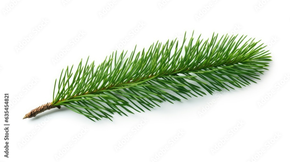 Poster pine branch isolated on white background. fir tree branch isolated on white created with generative 