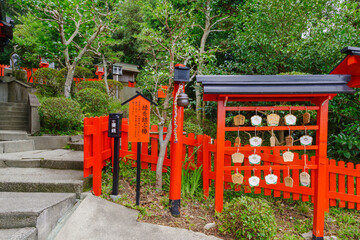 荒熊神社の縁結びの椿の木　愛知県南知多町