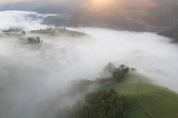 Summer aerial landscape above the foggy forest