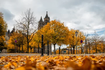 Foto op Plexiglas Oud gebouw Scenic view of old ancient Magdeburger Dom cathedral at Dom square in Magdeburg old city center in bright orange autumn trees foliage in cloudy rainy day. Germany tourism and travel destiantion