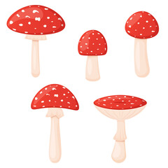 Fly agaric collection isolated on white forest poisonous mushrooms