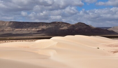 Fototapeta na wymiar Zaheq Sand Dunes Socotra Island Yemen
