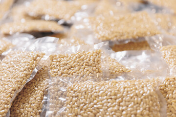 Production vacuum packed cedar nuts on automatic conveyor belt for transporting. Concept food...