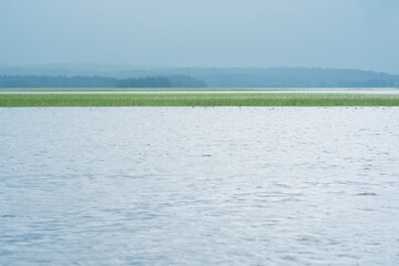 natural landscape, vast shallow lake with reed banks on a rainy day