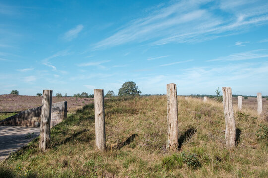 Replica of a burial mound on the Elspeetsche Heide, Gelderland province , The Netherlands ||  Replica van een grafheuvel op de Elspeetsche Heide,  Gelderland province , The Netherlands