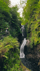 Ireland throughout the years