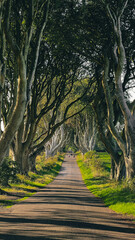 Ireland throughout the years