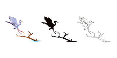 Set of birds. Crane, stork, heron. silhouette, colure and Line art. vector illustration.