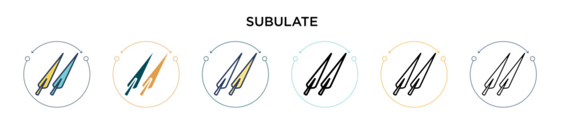 Subulate icon in filled, thin line, outline and stroke style. Vector illustration of two colored and black subulate vector icons designs can be used for mobile, ui, web