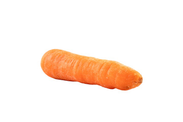 みずみずしい人参