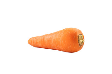 みずみずしい人参