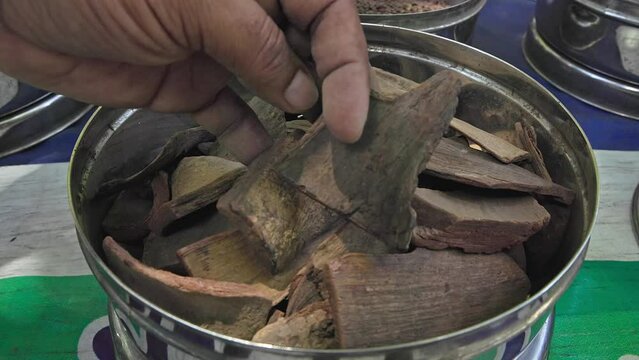 A man checks the quality of dry bignay, Chinese laurel, or salamander tree bark