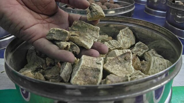 A man checks the quality of dry Angelica archangelica,Liquorice root or Mulethi pieces