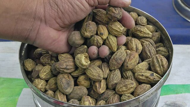 A view of dry Terminalia chebula, chebulic myrobalan, or haritaki fruits