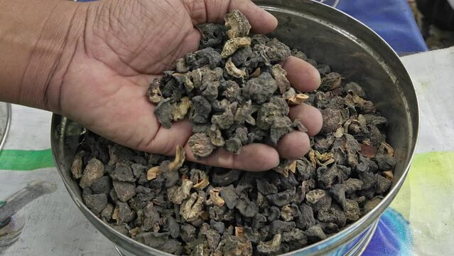 A man checks the quality of dry Emblica officinalis,Indian gooseberry, or amla