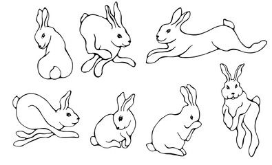 Rabbit illustrations. Line art, black outline set of elements, collection isolated on white background. Childish cute characters.
