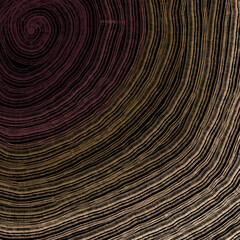 Wood texture for background