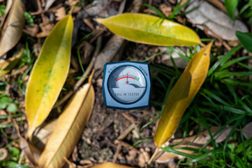 Measurement of soil pH in durian garden, The pH was measured at about 5.5.