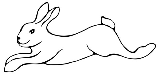 Rabbit illustration. Line art, black outline single element of collection isolated on white background. Childish cute character.