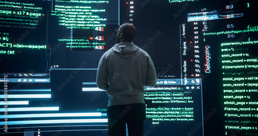 Aufkleber Back View of Young Black Man Looking at Big Digital Screens Glitching While Displaying Code Lines. Worried Professional Programmer Fixing a Bug, Dealing with Crashing System, Ensuring Cybersecurity