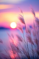 Little grass stem close-up with sunset over calm sea, sun going down over horizon. Pink and purple pastel watercolor soft tones. Beautiful nature background. - obrazy, fototapety, plakaty