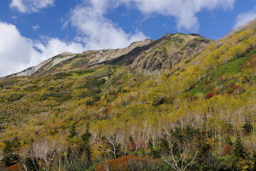 秋_紅葉の栂池自然園
