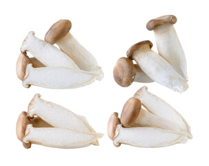oyster mushrooms on transparent png