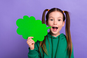 Photo of cute impressed small girl wear green sweatshirt holding speaking bubble empty space isolated violet color background
