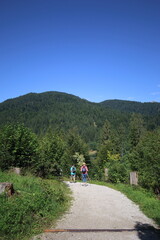 nordic walking in trail in bavaria, germany