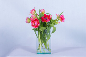 Many kinds of beautiful flowers put in vase on a white background