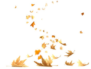 leaves autumn background swirl falling isolated - 3d rendreing