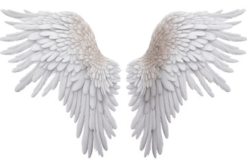 Realistic Angel Wings having Transparent Background, PNG, Generative Ai