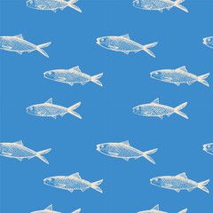 Fish Sardine seamless pattern. Background with pilchard drawing. Hand drawn seafood decorative ornament for packaging design, label, print, backdrop, card, template. Vector illustration design element - obrazy, fototapety, plakaty