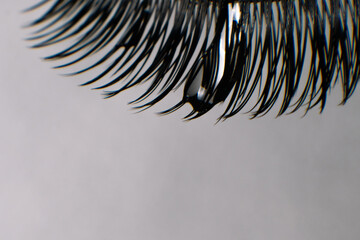 Close up of black eyelashes with drop of water on cilia using for lash extension procedure hanging against gray wall.