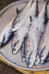 fresh fish on the market