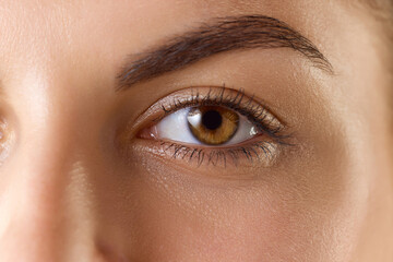 Brown eyes. Close up portrait of beautiful young girl looking at camera. Natural looking lashes and eyebrows. Concept of cosmetics, makeup, beauty and spa, skin care, cosmetology, ad