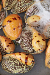 Fresh seafood in traditional market