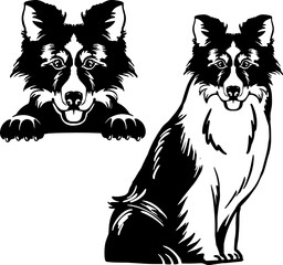Illustration of an Australian Shepherd: Energetic and Beautiful Dog