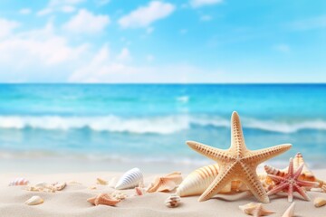 Beach with seashells and starfish and sky