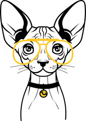 Playful Cat Rocking Glasses: A Charming and Amusing Snapshot