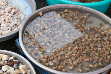 Fresh seafood at traditional market