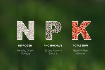 NPK letters made of mineral fertilisers on the blurred natural background. N - nitrogen, P -...