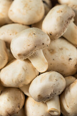 Raw White Organic Champignnon Mushrooms