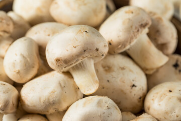 Raw White Organic Champignnon Mushrooms