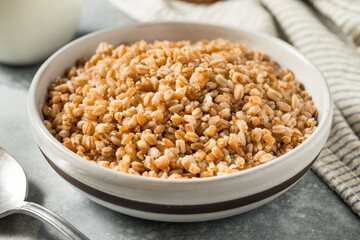 Cooked Organic Farro Grain