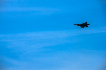 Bethpage Air Show