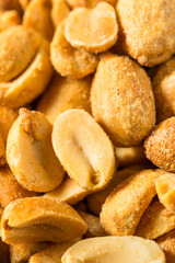 Organic Roasted and Salted Peanuts